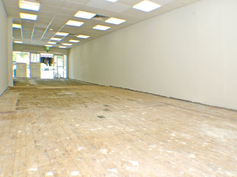 17 Padstow Parade, Padstow NSW 2211