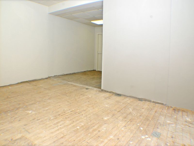 17 Padstow Parade, Padstow NSW 2211