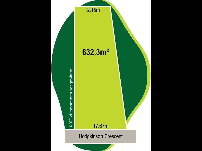 41 Hodgkinson Crescent, Panania NSW 2213