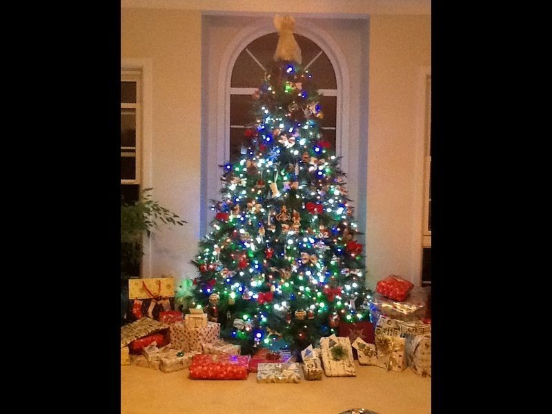 61 Milford Avenue, Panania NSW 2213