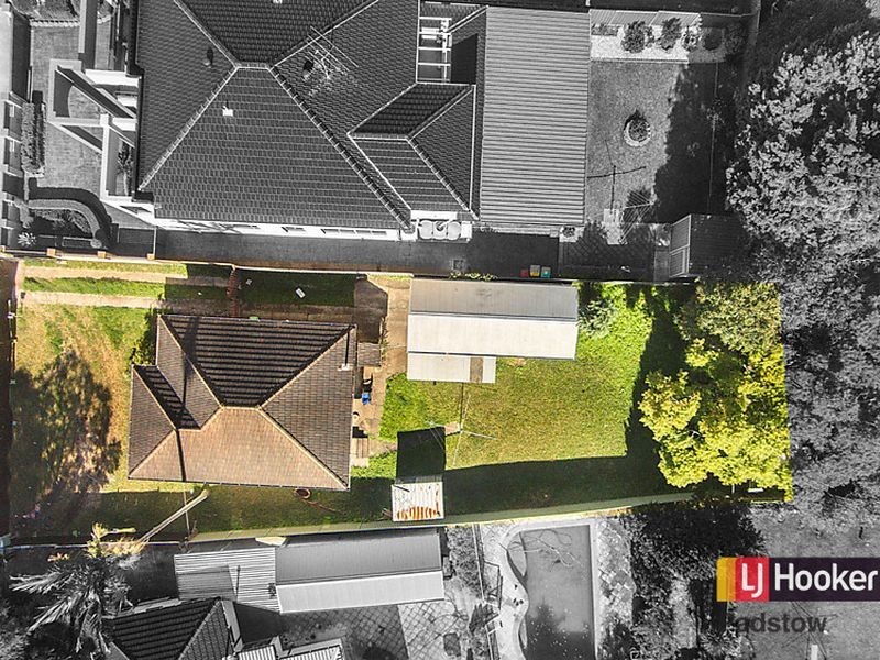 41 Hodgkinson Crescent, Panania NSW 2213