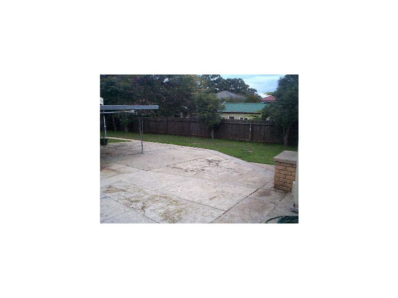 17 Coral Avenue, Padstow NSW 2211