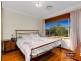 41 Richardson Avenue, Padstow Heights NSW 2211