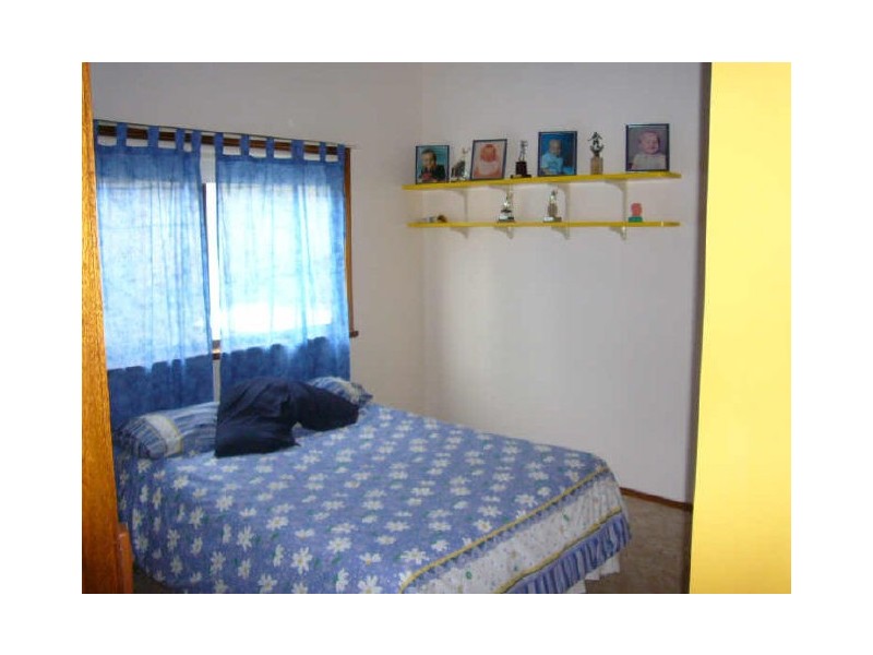 25 Carinya St, Picnic Point NSW 2213