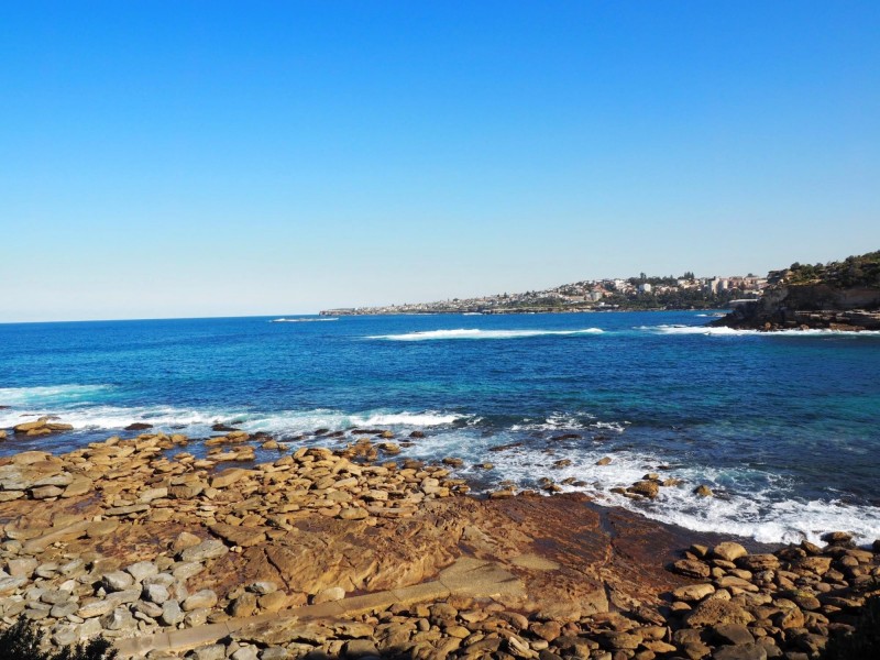 7/3 Thorpe Street, Clovelly NSW 2031