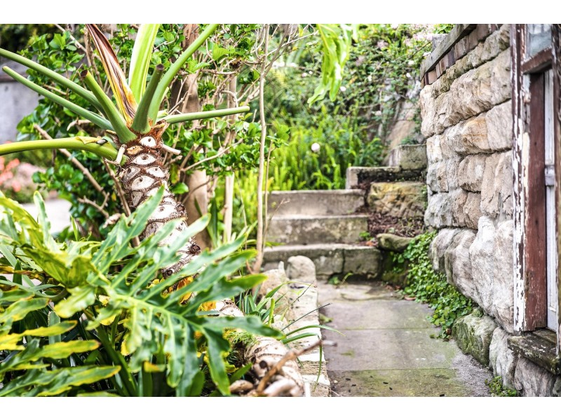 97 Farr Street, Rockdale NSW 2216