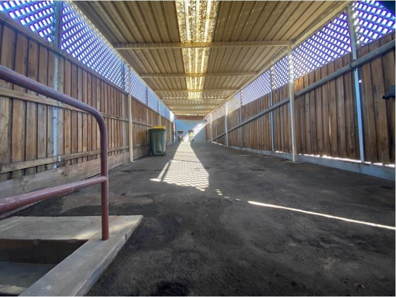 7 Shaw Street, Bexley North NSW 2207