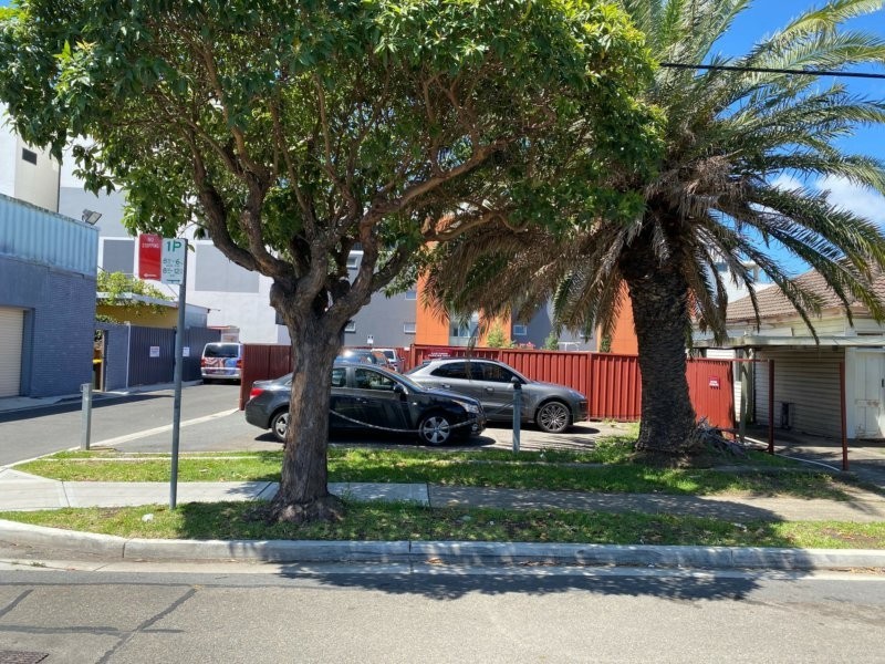 2 Flora Street, Roselands NSW 2196