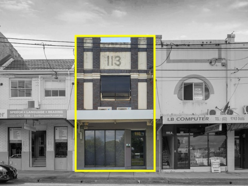 113 Queen Street, North Strathfield NSW 2137