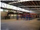 40 Milton Street, Ashfield NSW 2131