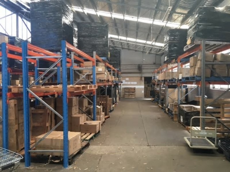 40 Milton Street, Ashfield NSW 2131