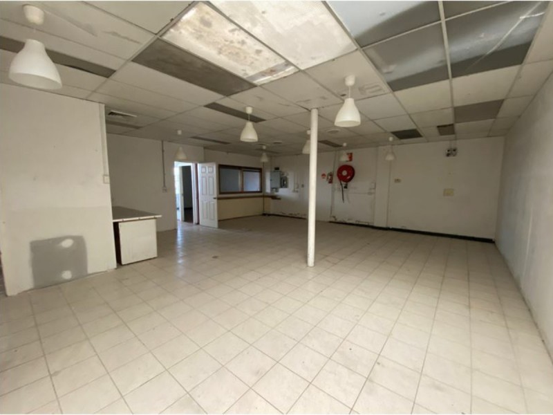 59 Sydenham Road, Marrickville NSW 2204