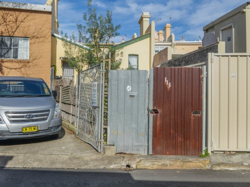 113 Parramatta Road, Annandale NSW 2038