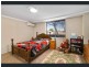 243 Beamish Street, Campsie NSW 2194