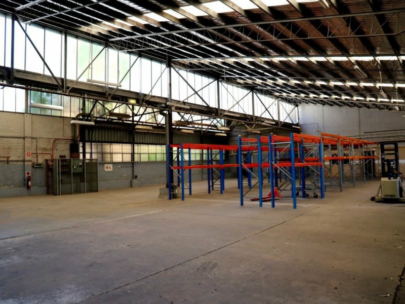 40 Milton Street, Ashfield NSW 2131