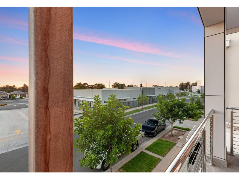21 David Campbell Way, Lightsview SA 5085