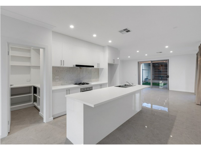 21 David Campbell Way, Lightsview SA 5085