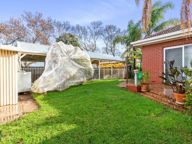 14 Grifford Street, South Plympton SA 5038