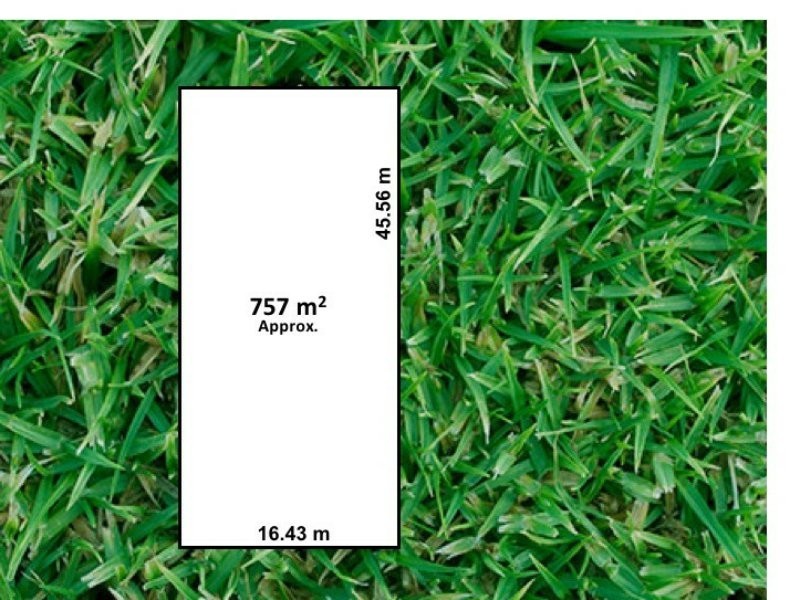 Kurralta Park SA 5037