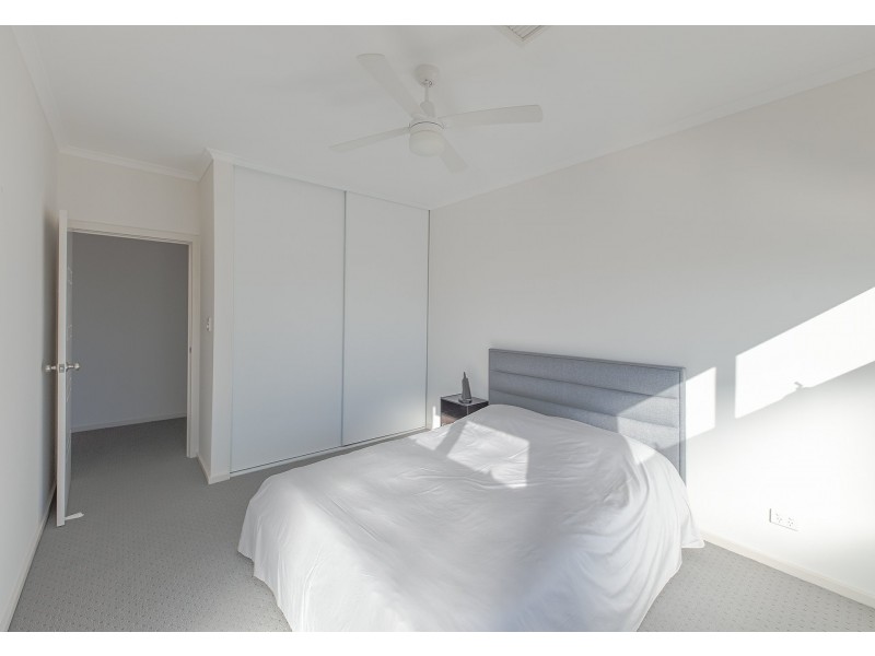 6 Chianti Lane, Mawson Lakes SA 5095