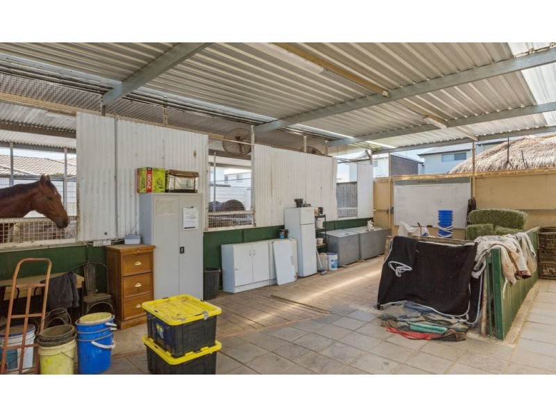 2 Grafton Avenue, Morphettville SA 5043