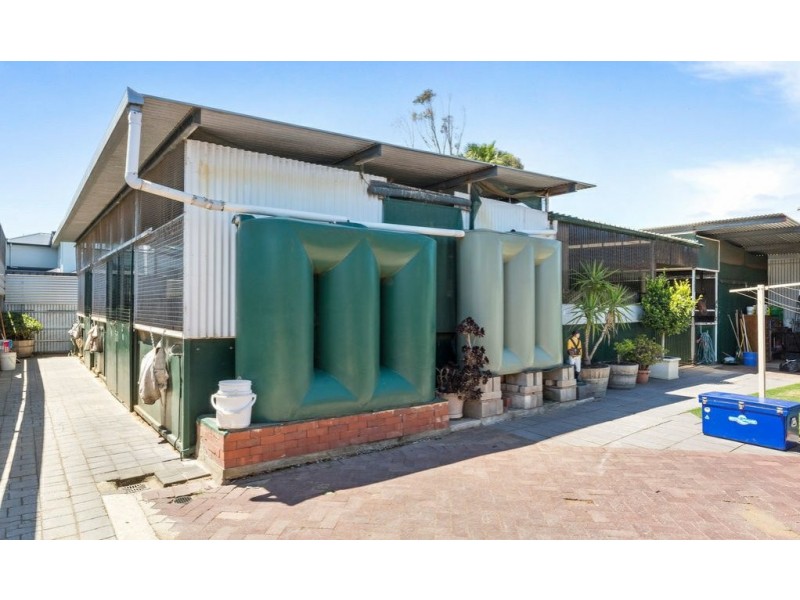 2 Grafton Avenue, Morphettville SA 5043