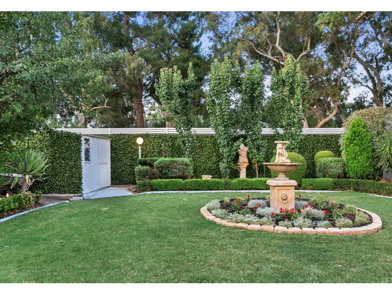 41 Watson Street, Hectorville SA 5073