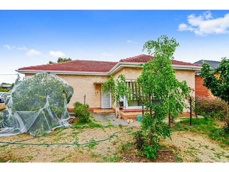 12 Renown Avenue, Clovelly Park SA 5042