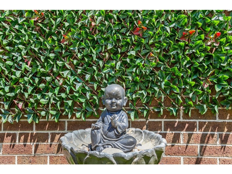 14 Wilhelmina Walk, Epping VIC 3076