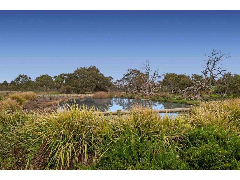 13 Burrora Way, Craigieburn VIC 3064