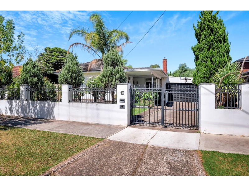 19 Wilkinson Crescent, Bellfield VIC 3081