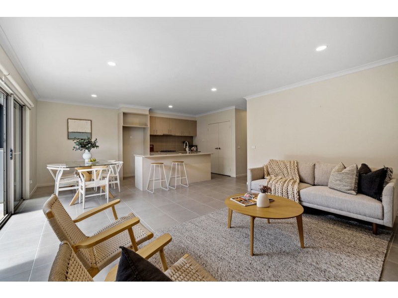 48 Tesselaar Road, Wollert VIC 3750