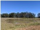 1683 Beebo Seventeen Mile Road, Beebo QLD 4385