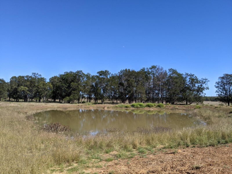 1683 Beebo Seventeen Mile Road, Beebo QLD 4385