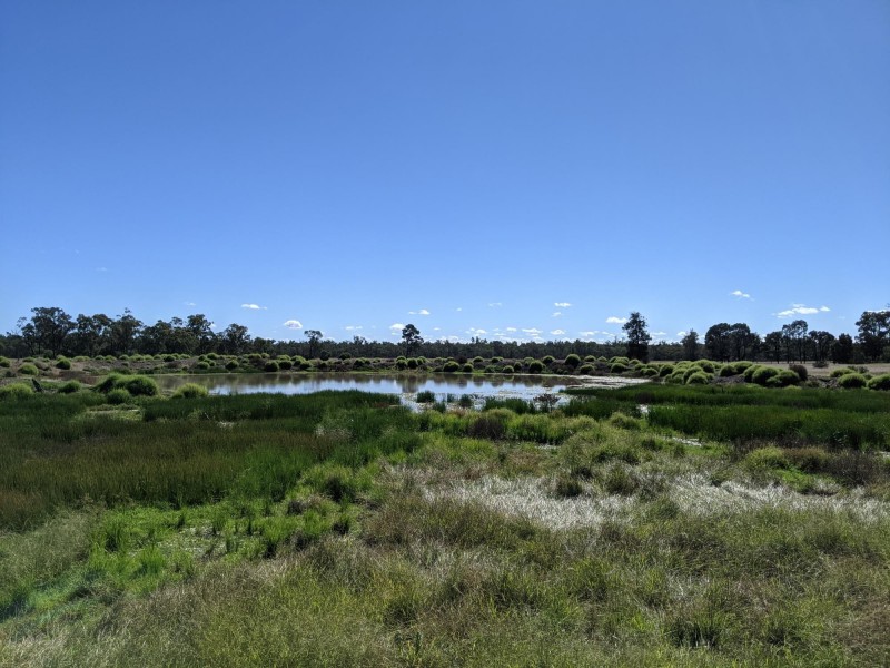 1683 Beebo Seventeen Mile Road, Beebo QLD 4385