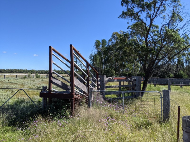 1683 Beebo Seventeen Mile Road, Beebo QLD 4385