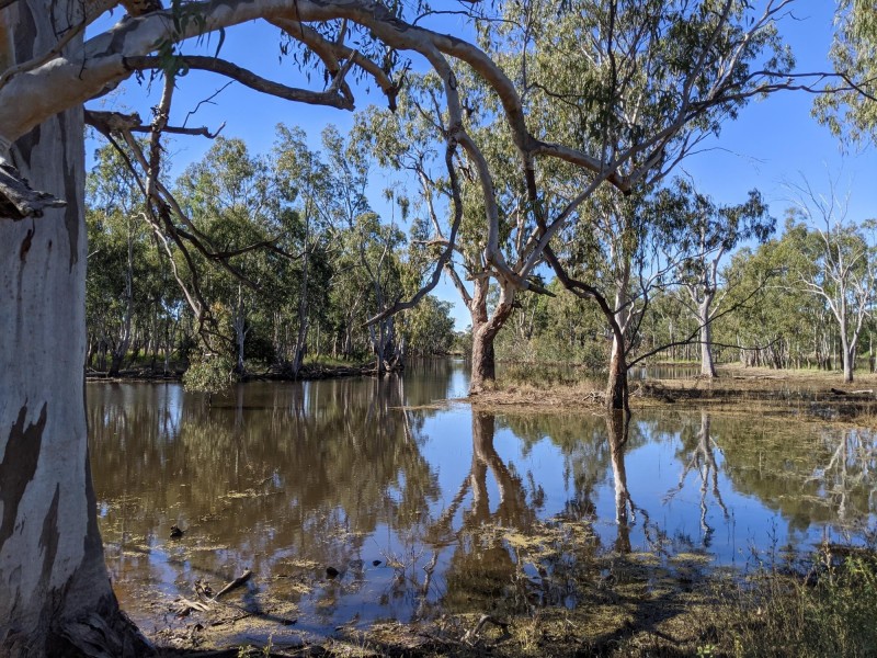 1683 Beebo Seventeen Mile Road, Beebo QLD 4385