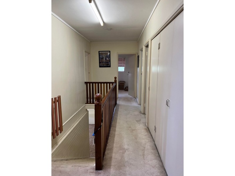 142 Old Northern Road, Everton Park QLD 4053