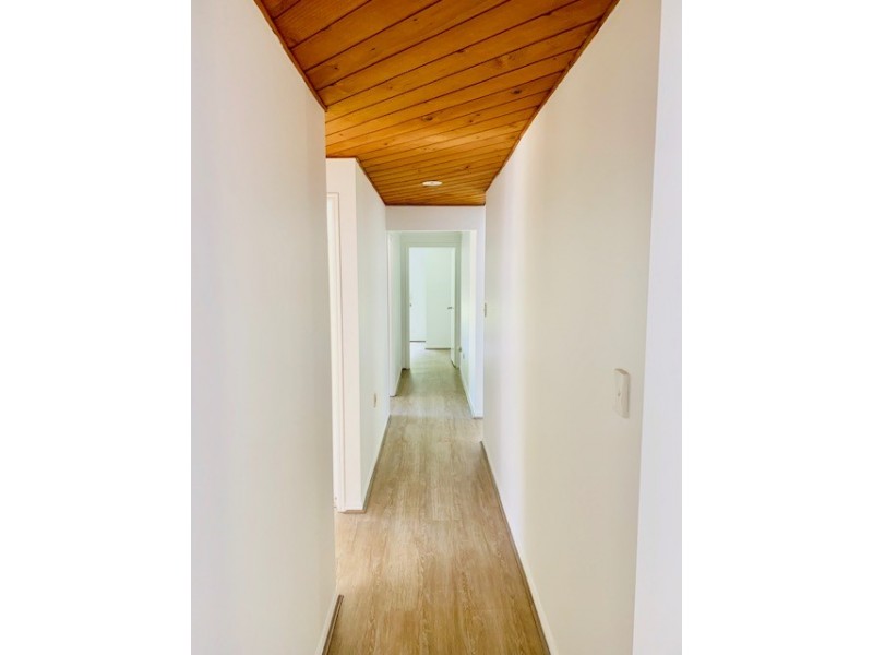 161 Pring Street, Tarragindi QLD 4121