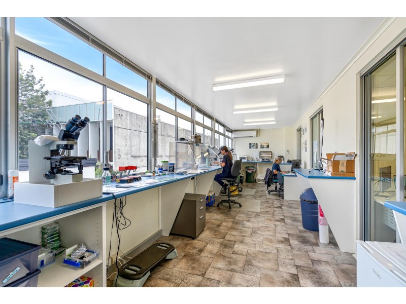 92 Cleveland Street, Greenslopes QLD 4120