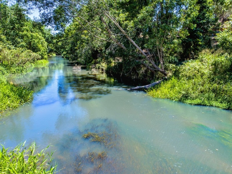 6A Molloy Street, Mareeba QLD 4880