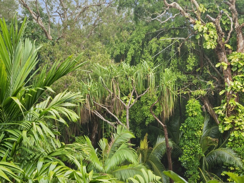 32/521-525 Varley Street, Yorkeys Knob QLD 4878