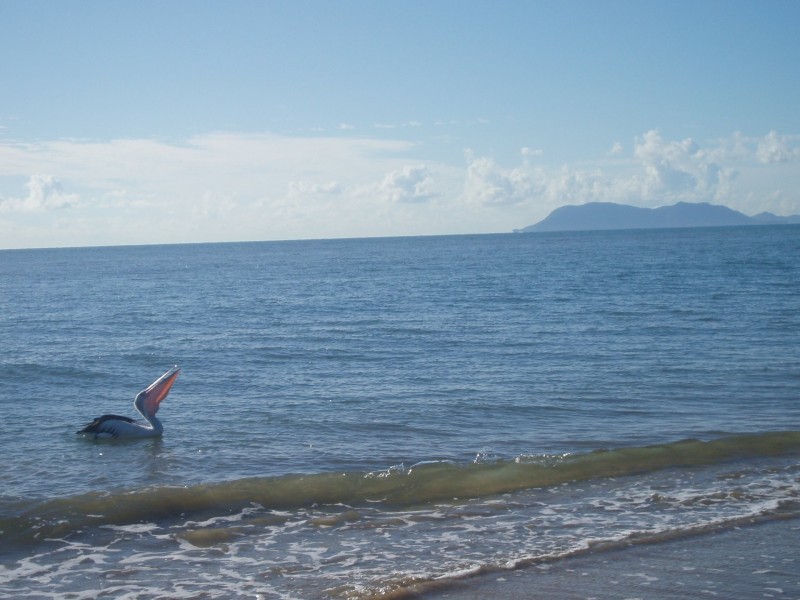 3/27 Sims Esplanade, Yorkeys Knob QLD 4878