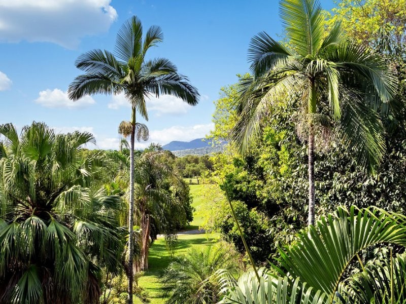 Unit 337a/305-341 Coral Coast Drive, Palm Cove QLD 4879