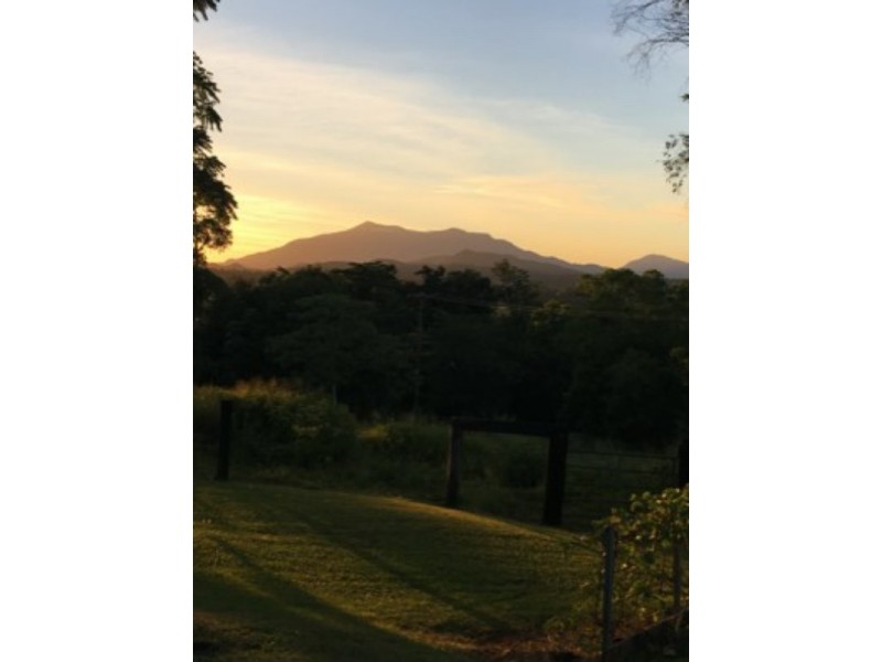 548a Palmerston Highway, Pin Gin Hill QLD 4860