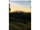 548a Palmerston Highway, Pin Gin Hill QLD 4860