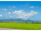 548a Palmerston Highway, Pin Gin Hill QLD 4860