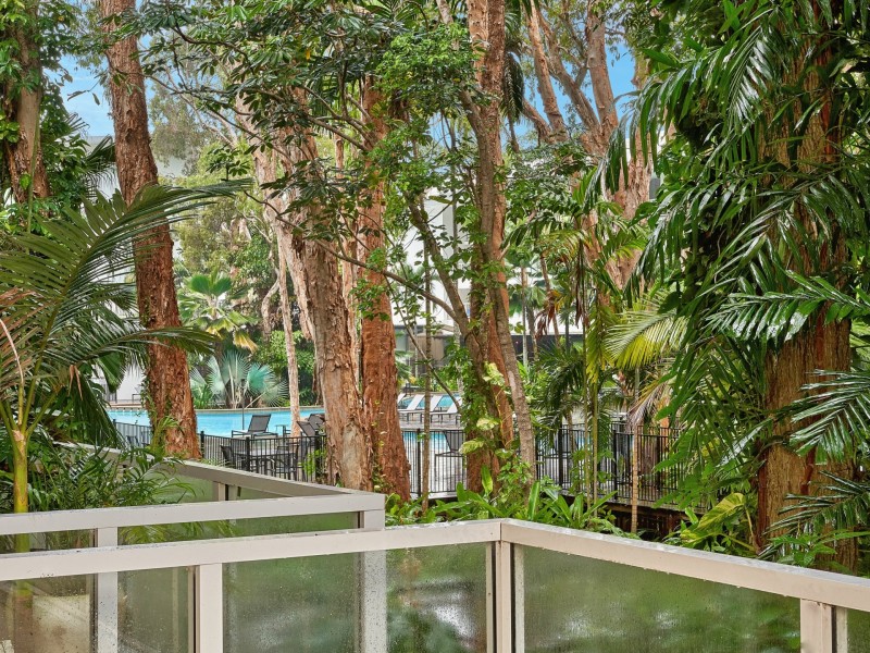 4102/2-22 Veivers Road, Palm Cove QLD 4879