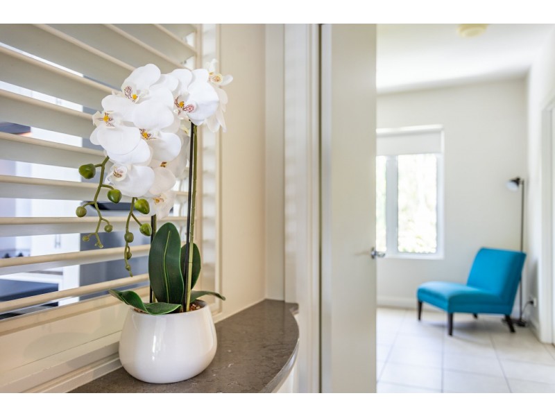 3133/123 Williams Esplanade, Palm Cove QLD 4879