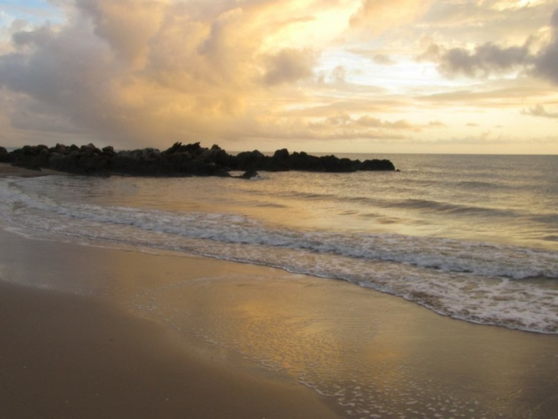 5/43 Sims Esplanade, Yorkeys Knob QLD 4878